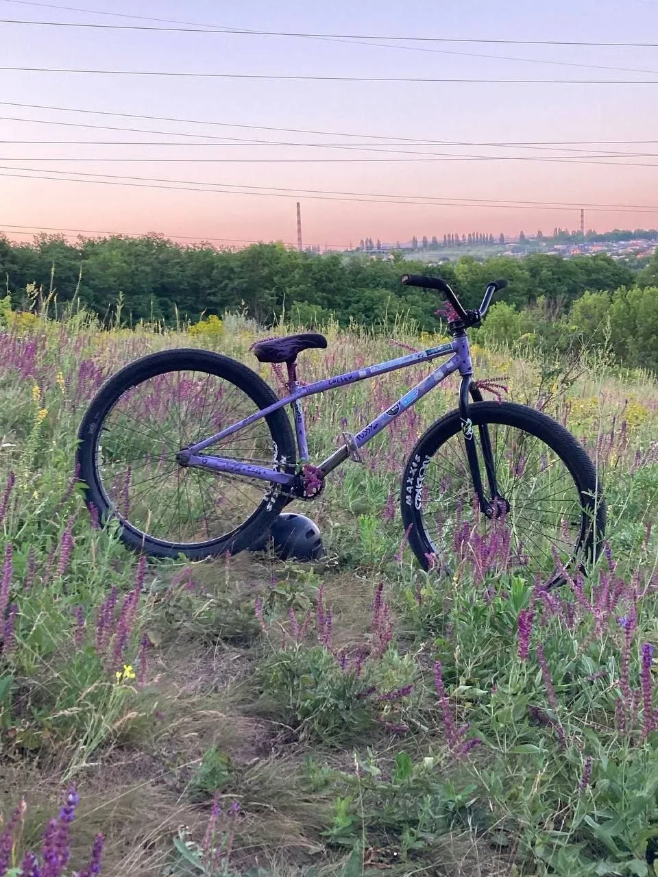 Dirt байк DC Pussy на запчастинах фото 4