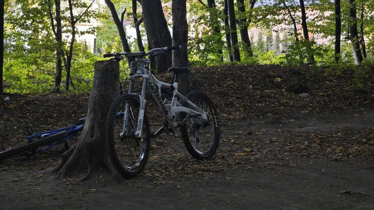 Вилка Rock Shox Domain R 2011 dual crown фото 1