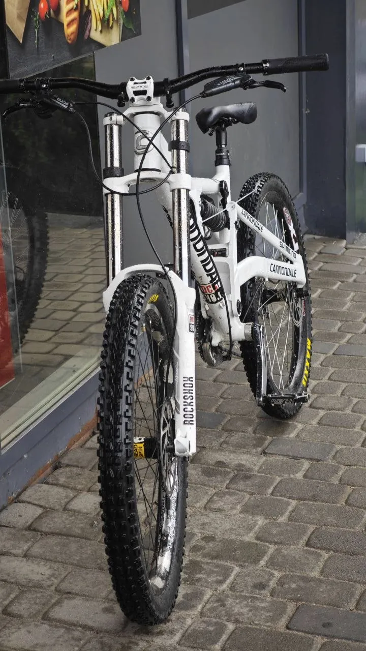 Вилка Rock Shox Domain R 2011 dual crown фото 2