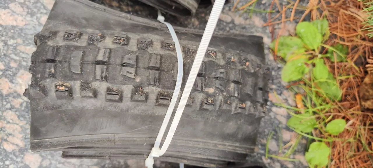 Maxxis DHR 2 29x2.4 фото 2