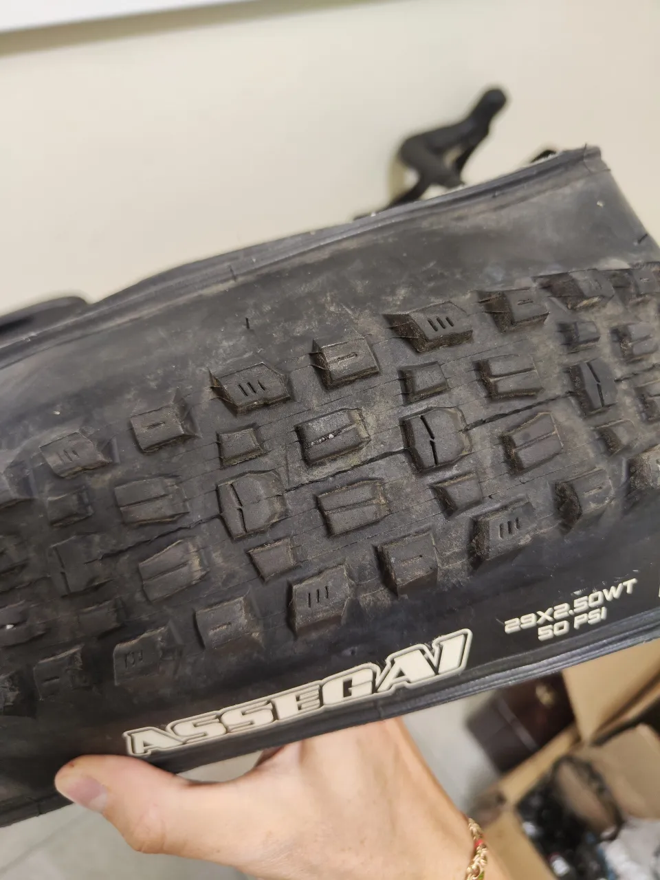 Покришки Maxxis Dissector 29×2.4WT + Assegai 2.5WT фото 2