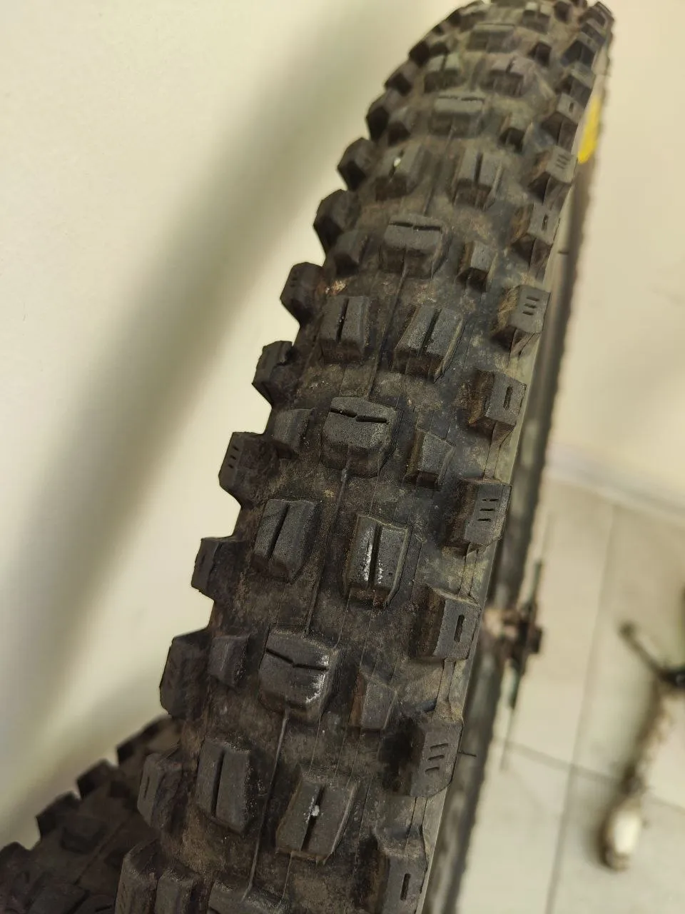 Покришки Maxxis Dissector 29×2.4WT + Assegai 2.5WT фото 5
