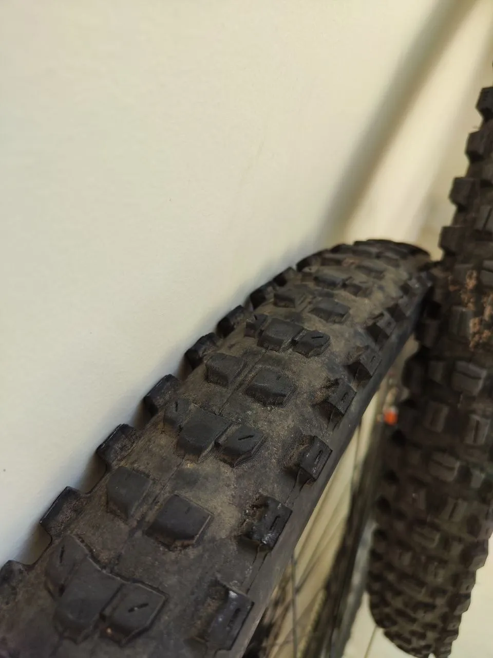 Покришки Maxxis Dissector 29×2.4WT + Assegai 2.5WT фото 6