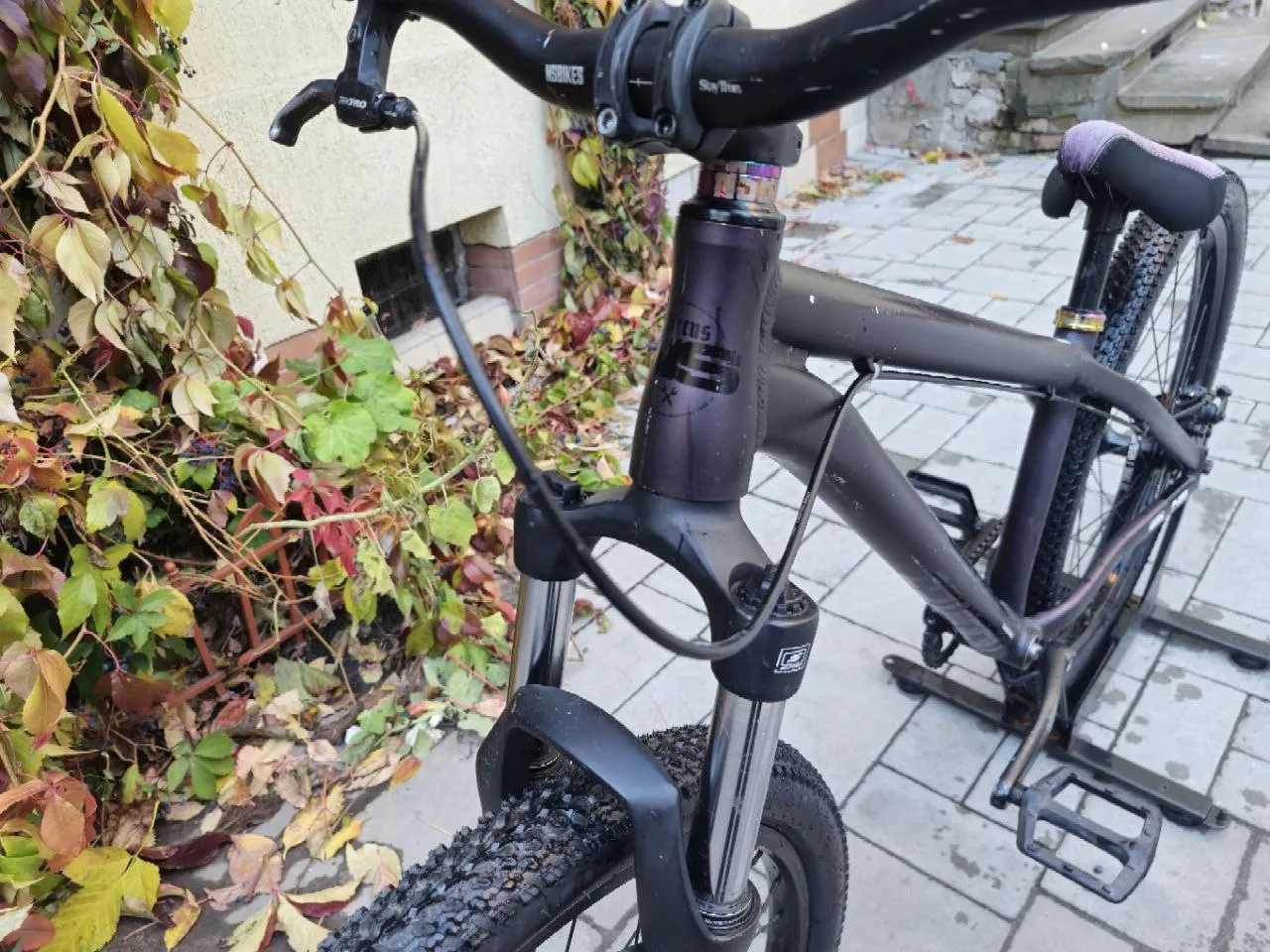 NsBikes Zircus 2023 dirt/street/park фото 4