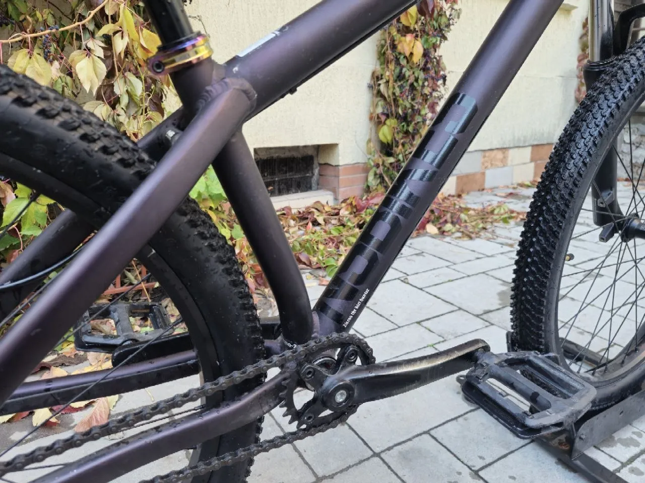 NsBikes Zircus 2023 dirt/street/park фото 5