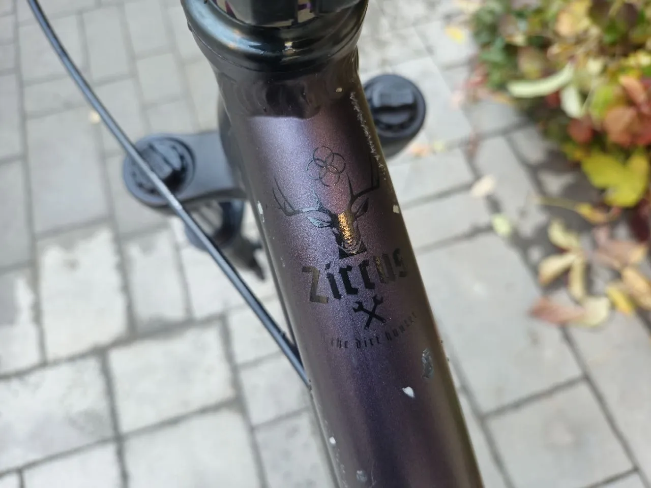 NsBikes Zircus 2023 dirt/street/park фото 7