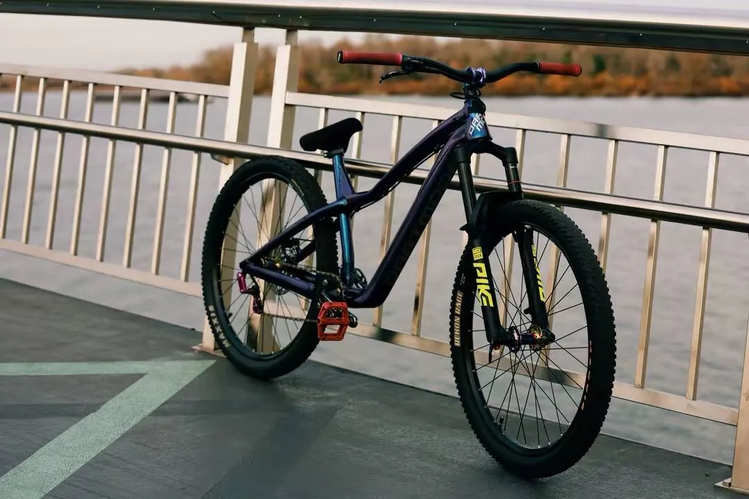 Велосипед Dartmoor Hornet Pro 27.5 фото 3
