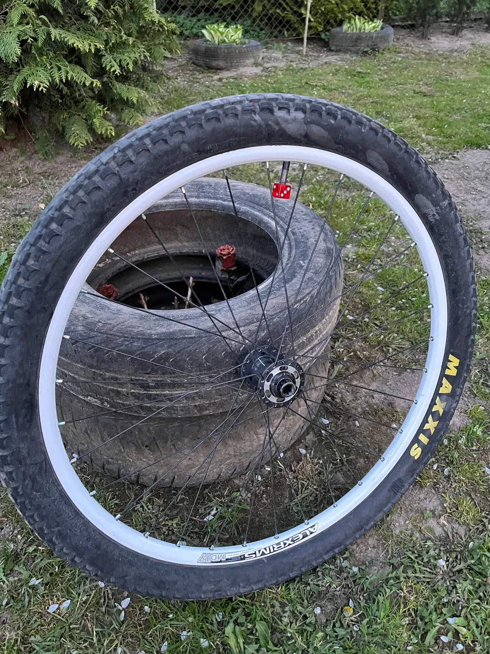 Переднє коло Alex Rims + Maxxis Holy Roller фото 1