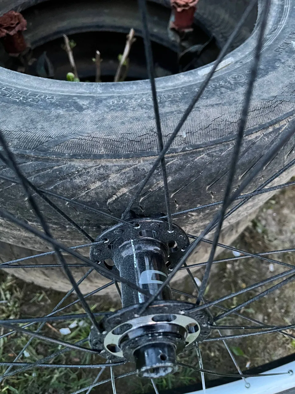 Переднє коло Alex Rims + Maxxis Holy Roller фото 5