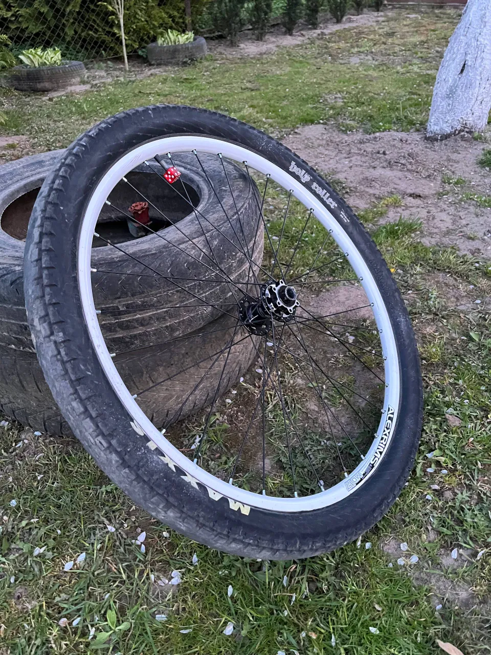 Переднє коло Alex Rims + Maxxis Holy Roller фото 3