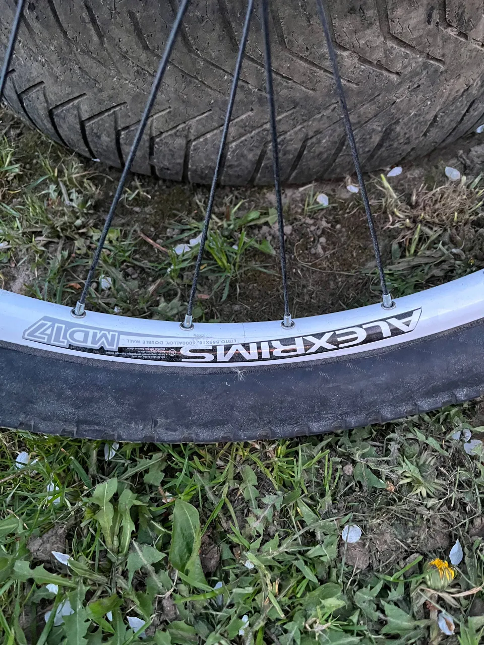 Переднє коло Alex Rims + Maxxis Holy Roller фото 4