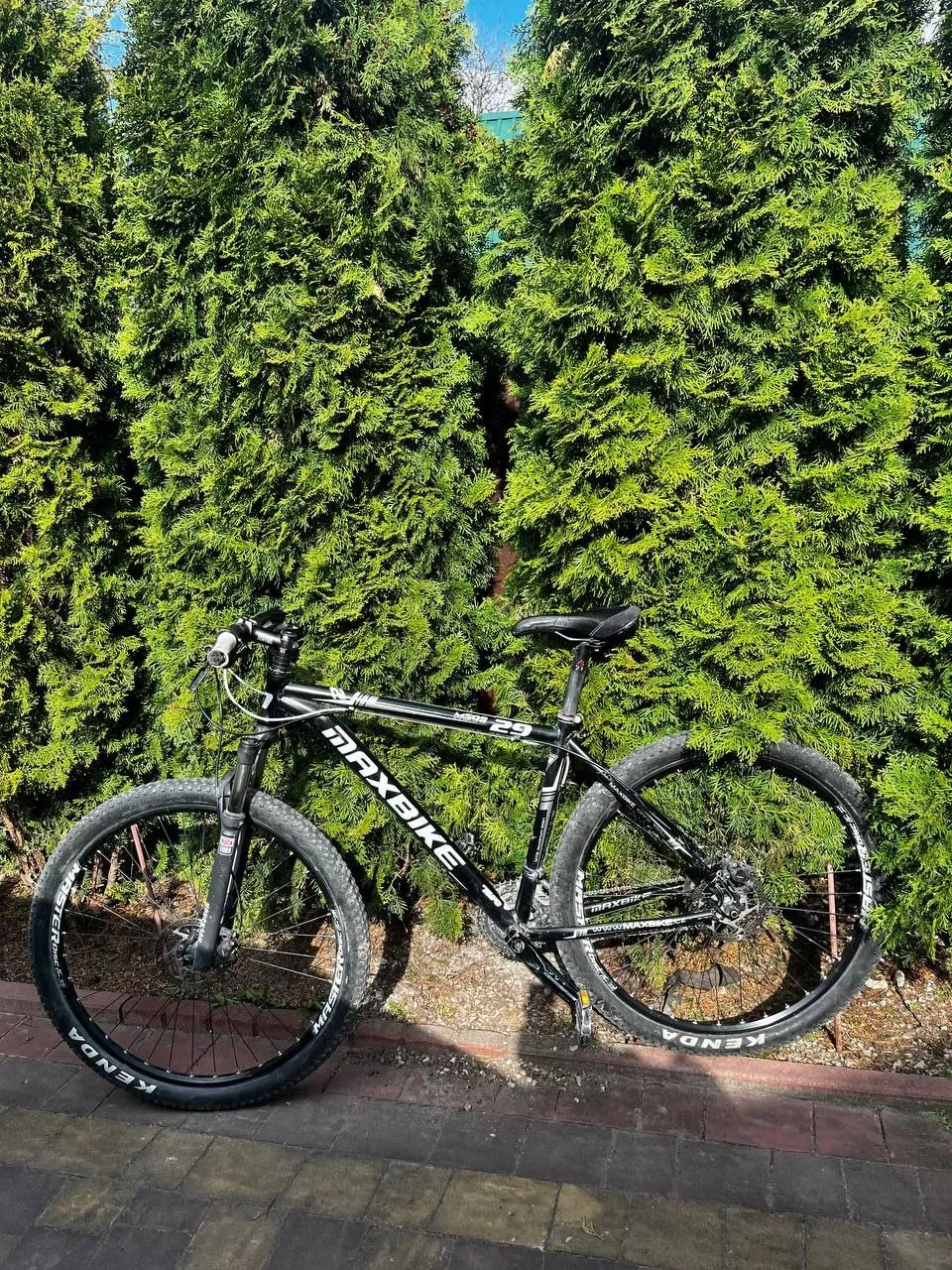 Велосипед Maxbike M509 29 фото 1