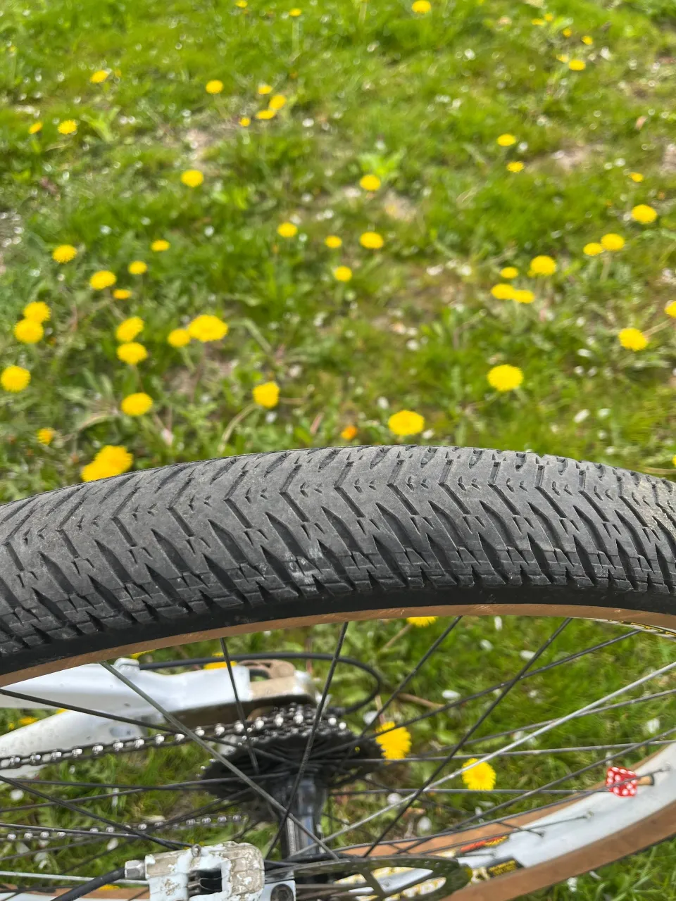 Maxxis DHF 26 покришка фото 3