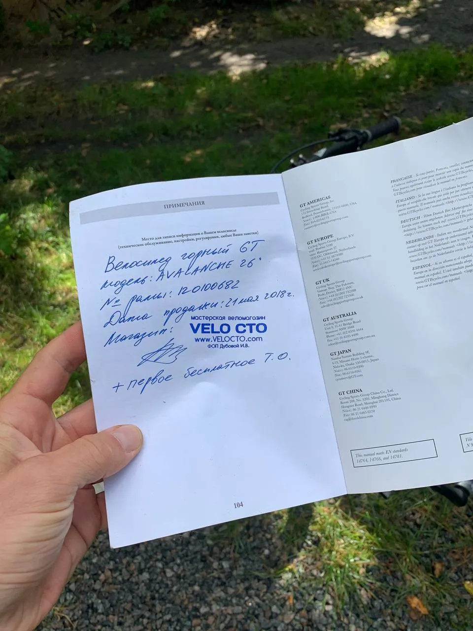 GT Avalanche 2018 фото 2