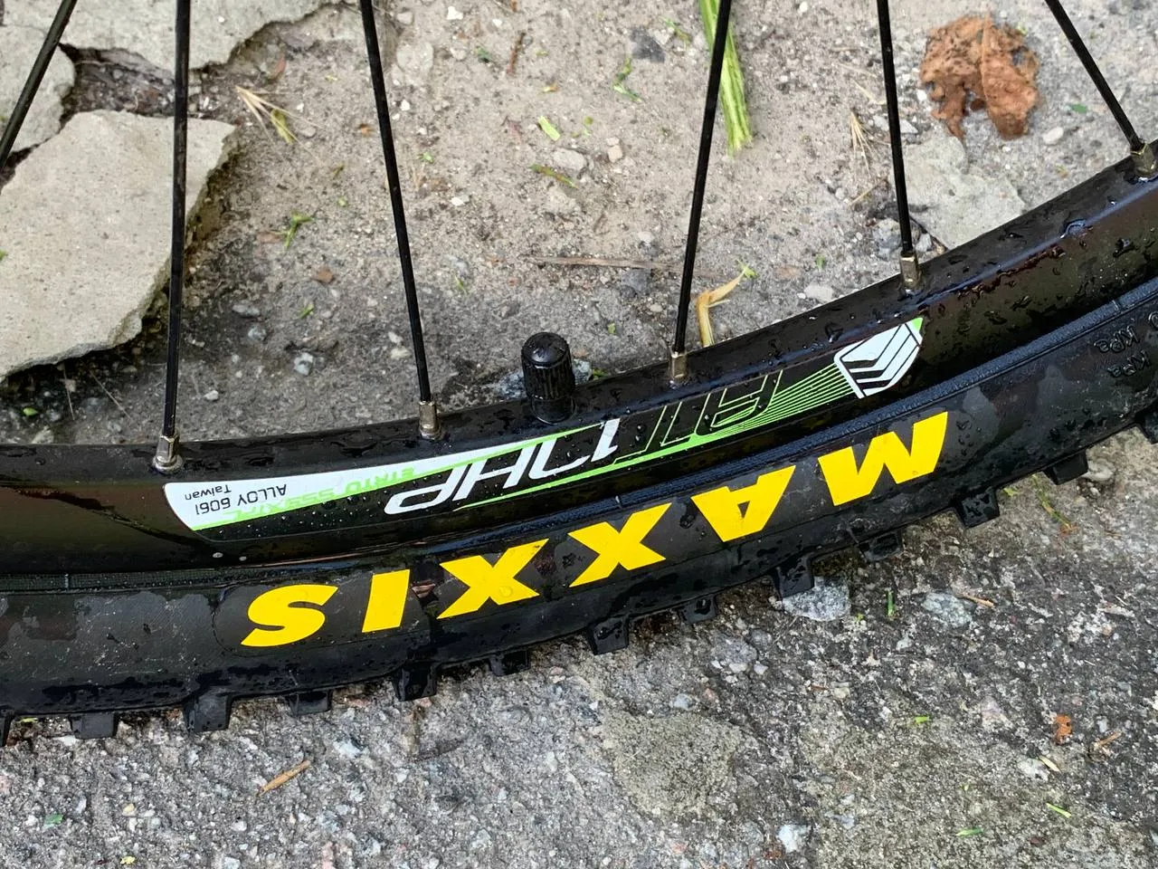 GT Avalanche 2018 фото 9