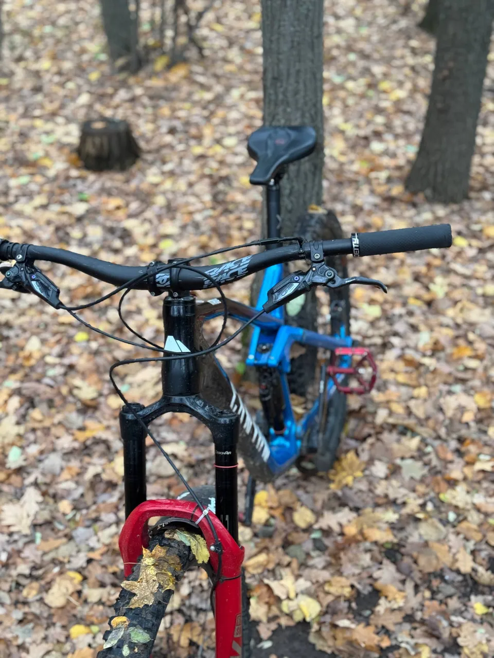Canyon Strive CF 7.0 рама L карбон-алюміній 2018 фото 3