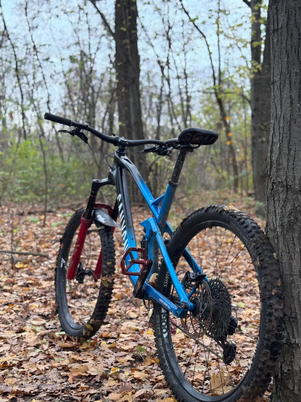 Canyon Strive CF 7.0 рама L карбон-алюміній 2018 фото 2