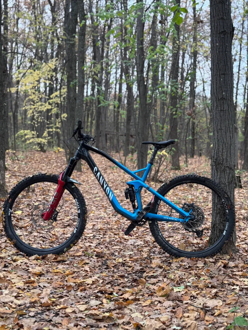 Canyon Strive CF 7.0 рама L карбон-алюміній 2018 фото 7