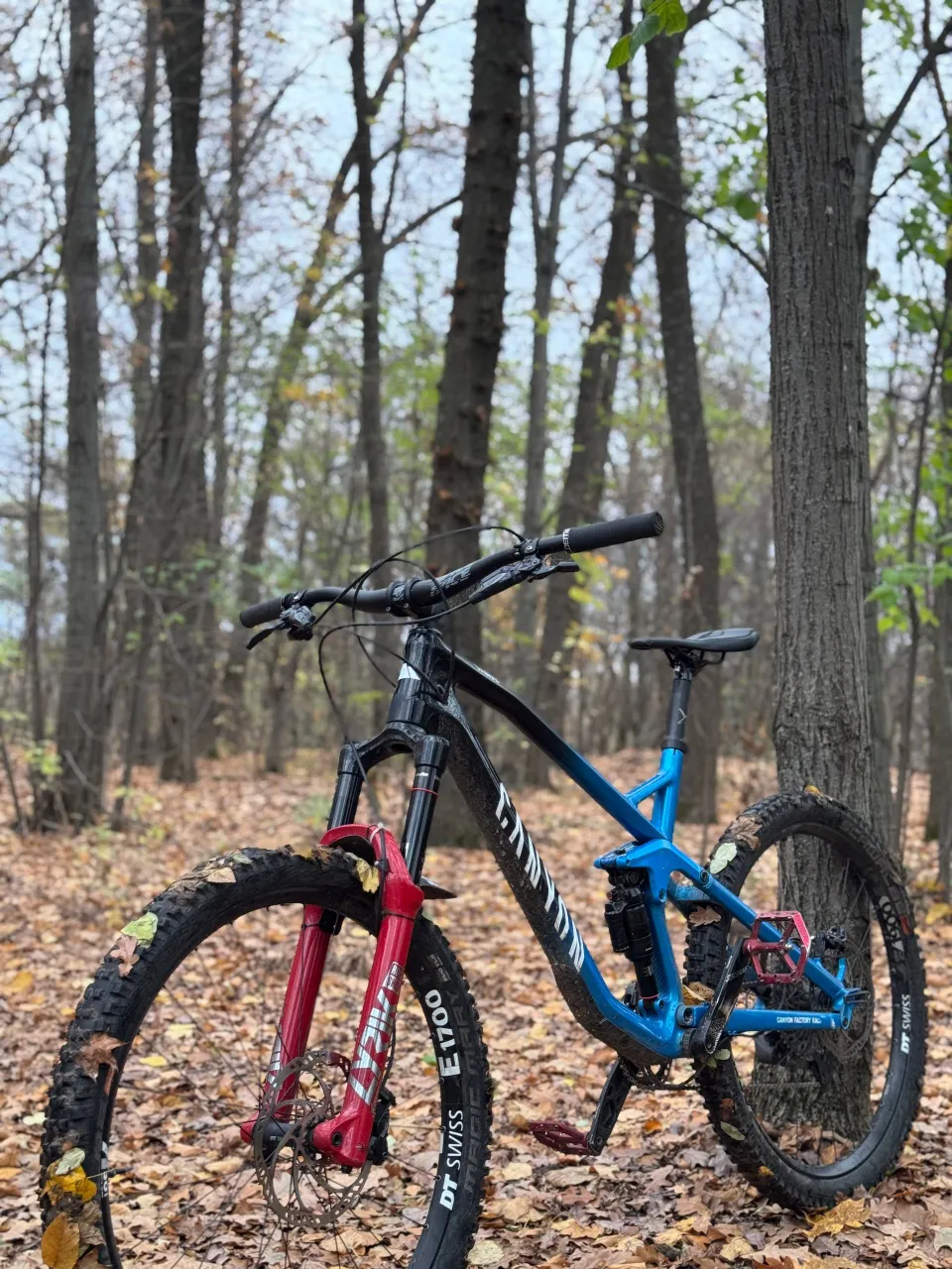 Canyon Strive CF 7.0 рама L карбон-алюміній 2018 фото 5