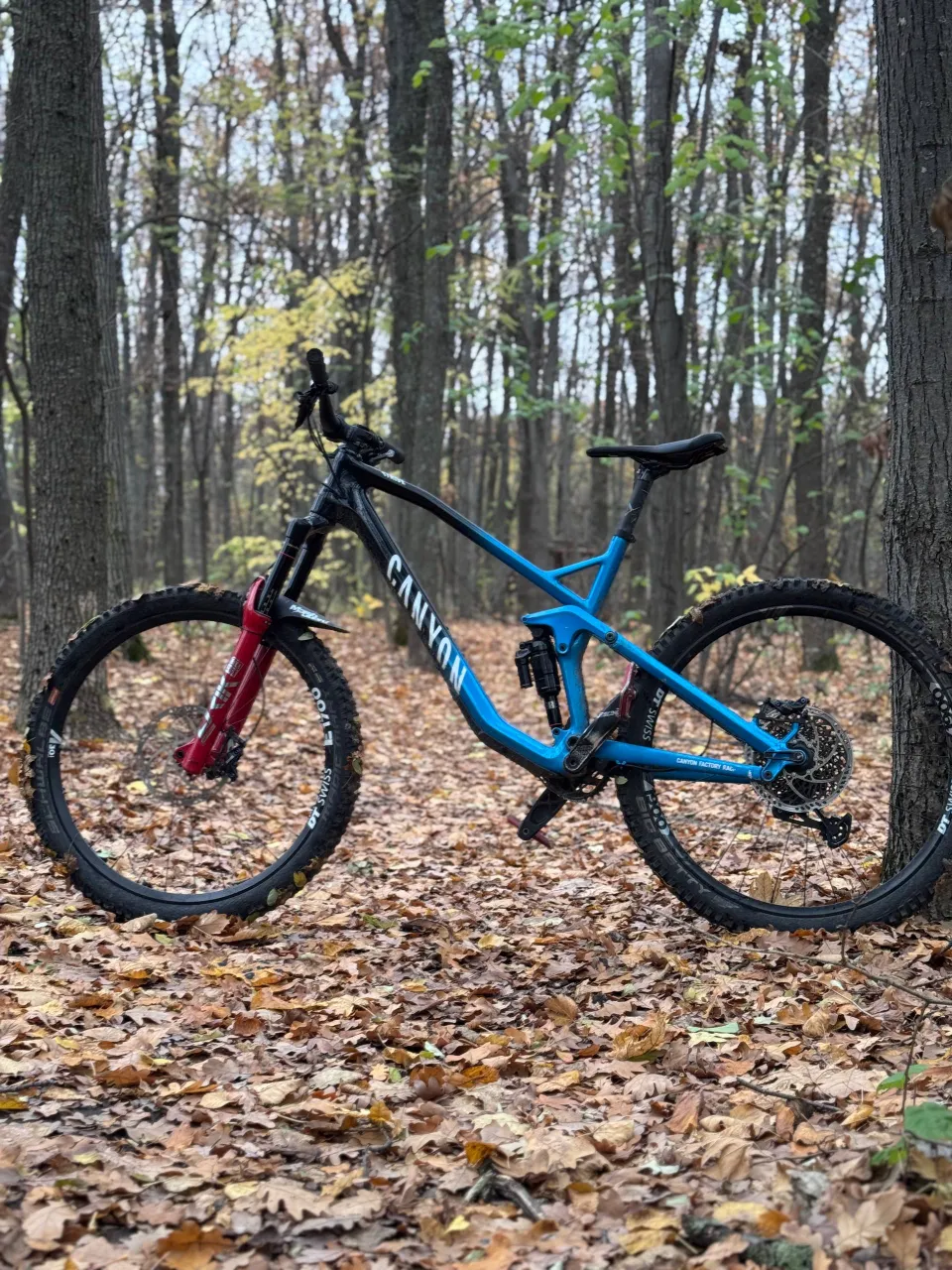 Canyon Strive CF 7.0 рама L карбон-алюміній 2018 фото 6