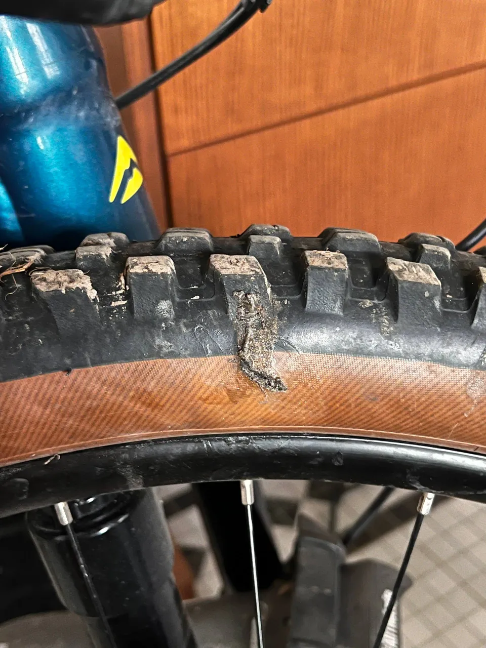 Pokrishka Maxxis Assegai 29 2.5 EXO TR Tanwall фото 2