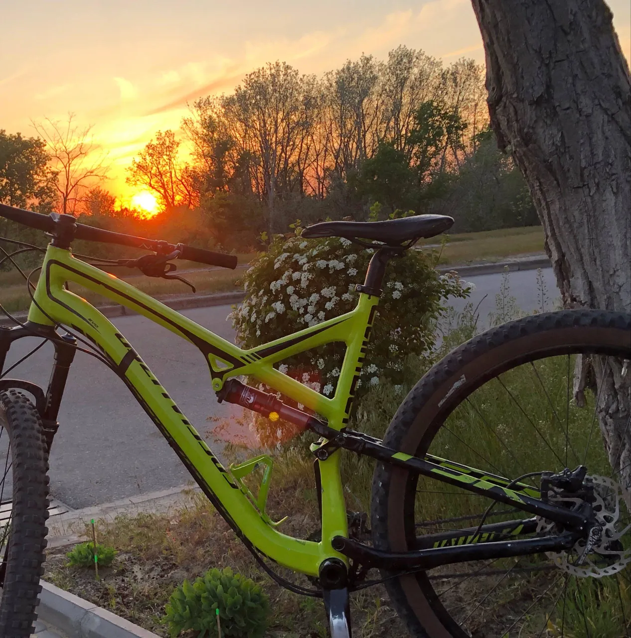 Рама Specialized Stumpjumper 2016 XL 29 фото 1