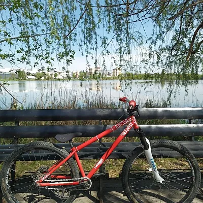 MTB Dirt NS Majesty
