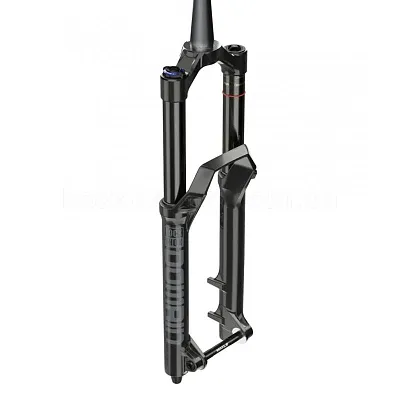 Rock Shox Domain хід 170-180