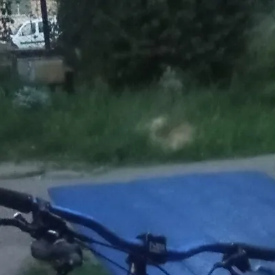 Руль Fun Fatboy