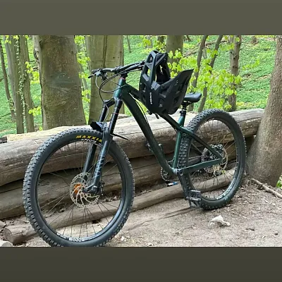 Dartmoor Hornet