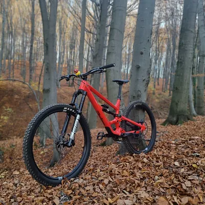 YT Capra 29 двопідвісний карбоновий велосипед L