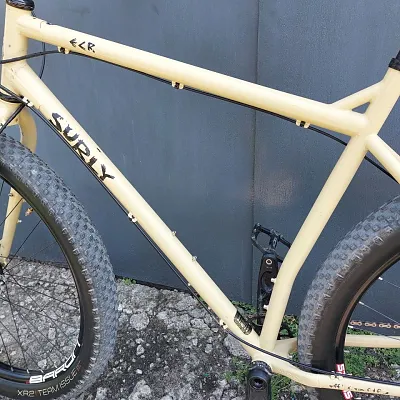Surly ECR XL 29+