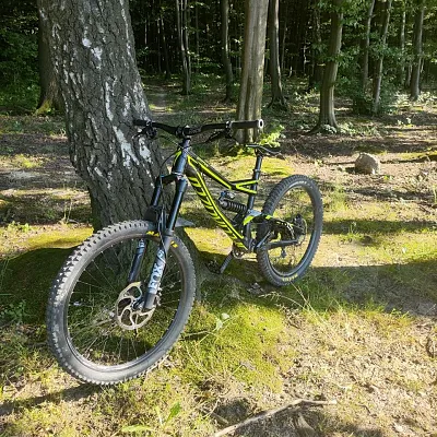 Specialized Status 2
