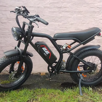 Електровелосипед 2E EB11 20" 500W 15Ah