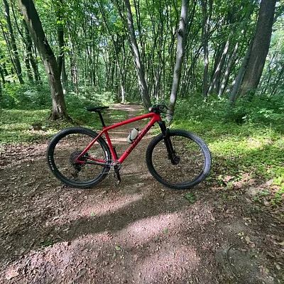 Specialized Epic 2019 L