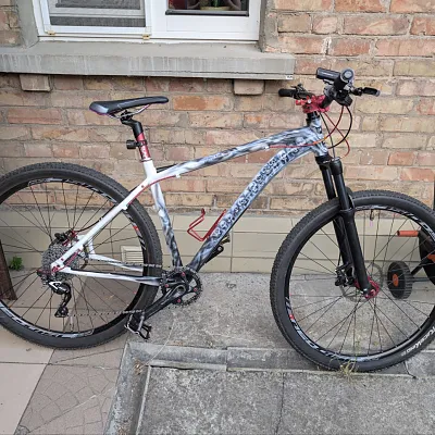 Кастомний MTB Spelli L 29"
