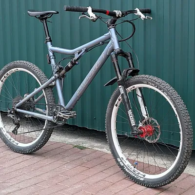Двопідвіс Santa Cruz Blur Classic L 120мм