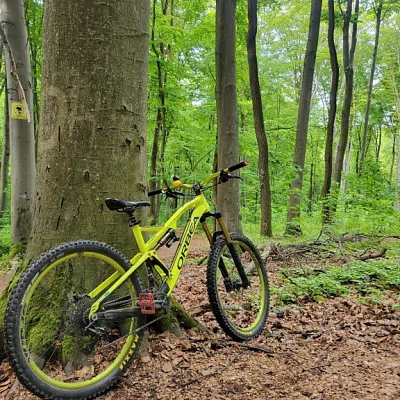 Orbea Rallon 2018 + Fox 34 CTD + Fox Float X + SRAM Guide R