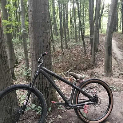 Рама Octane One Zircus 2013 Dirt