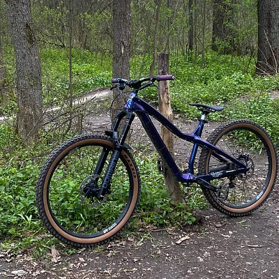 Велосипед Dartmoor Hornet Pro M 27.5 custom