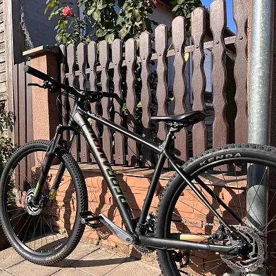 Bergamont Revox 3 M