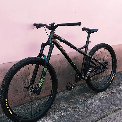 Dartmoor Primal