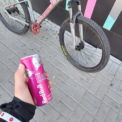 Велосипед Formula Zephyr 3.0 dirt