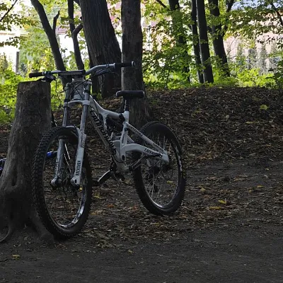 Вилка Rock Shox Domain R 2011 dual crown