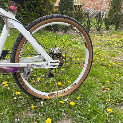 Maxxis DHF 26 покришка