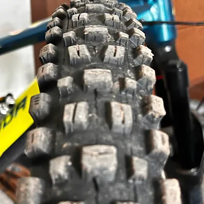 Pokrishka Maxxis Assegai 29 2.5 EXO TR Tanwall