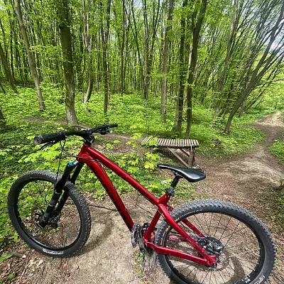 Велосипед Dartmoor Hornet M 2019