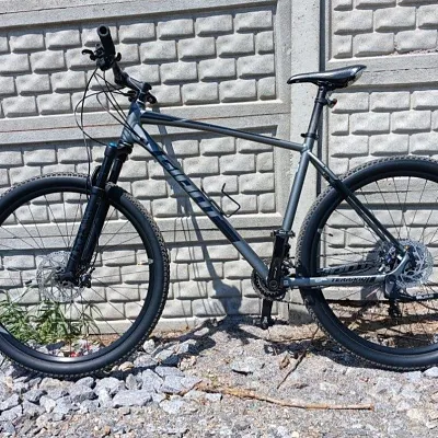 Giant Terrago 29 XL